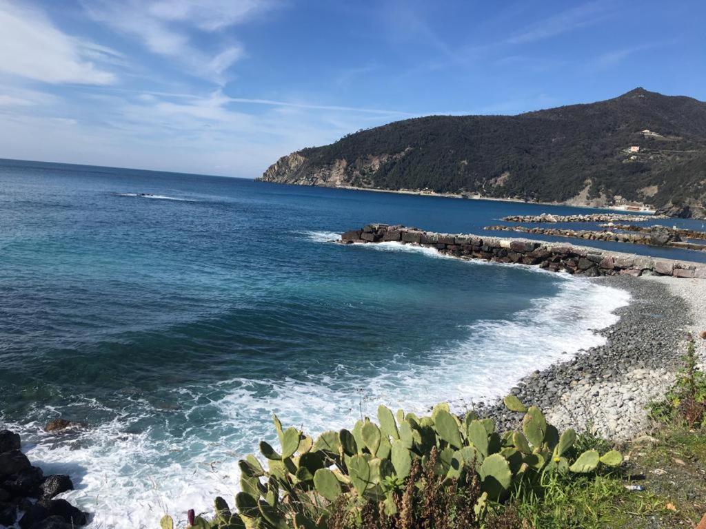 فيلا Moneglia Monte المظهر الخارجي الصورة